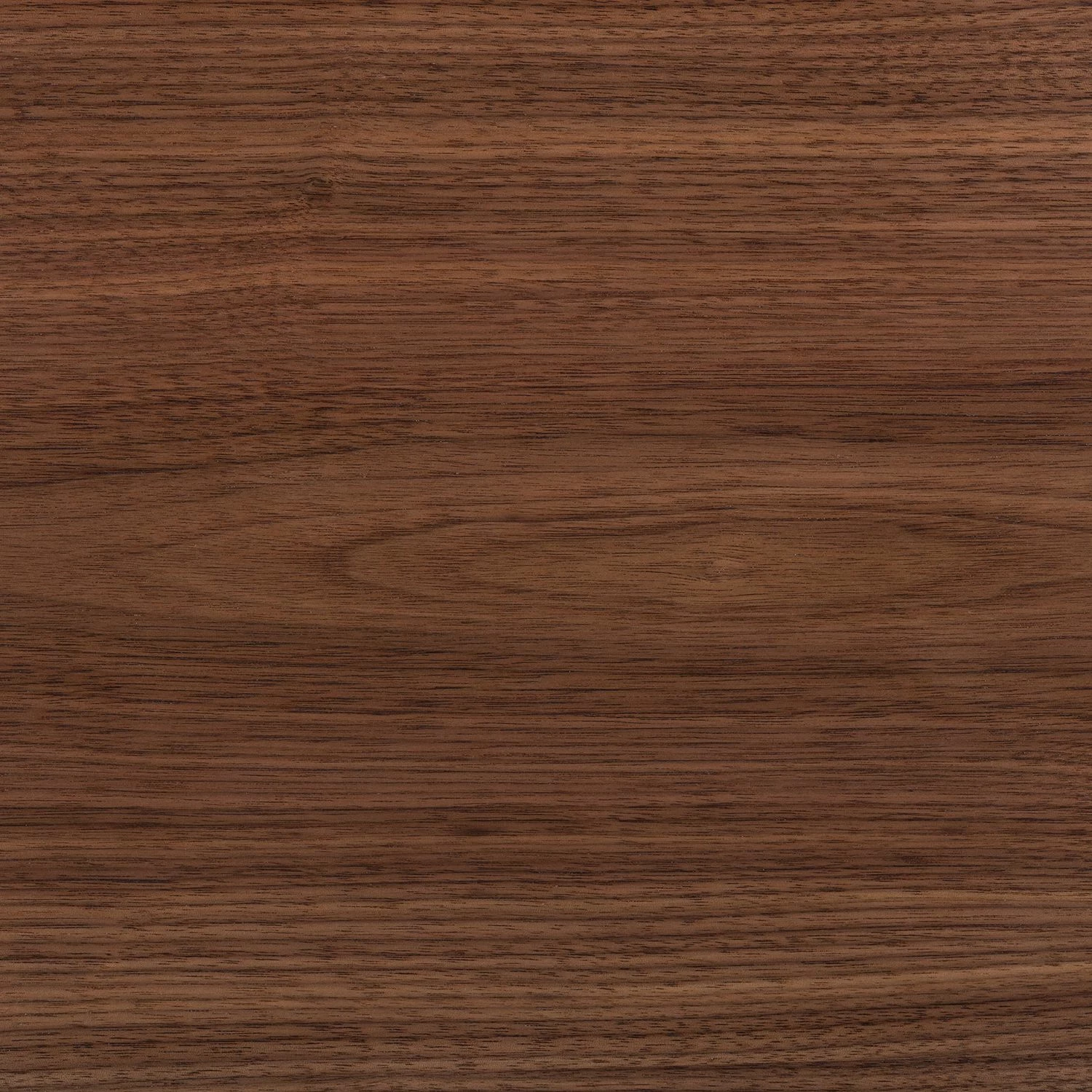 Eva Padberg Collection Sideboard Payara - Echtholzfurnier - Walnuss / Anthrazit – Bild 17